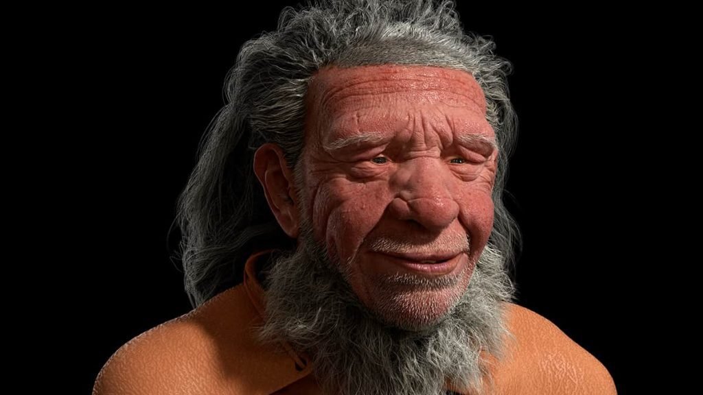 Neandertais teriam dominado linguagem complexa, indicam novos estudos - Imagem do artigo