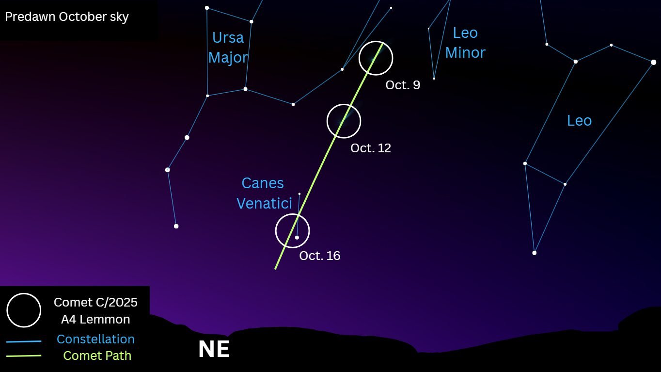 Cometa Lemmon se aproxima e pode ficar visível a olho nu em outubro - Imagem do artigo original