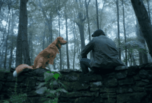 remansonoticias 1762284450