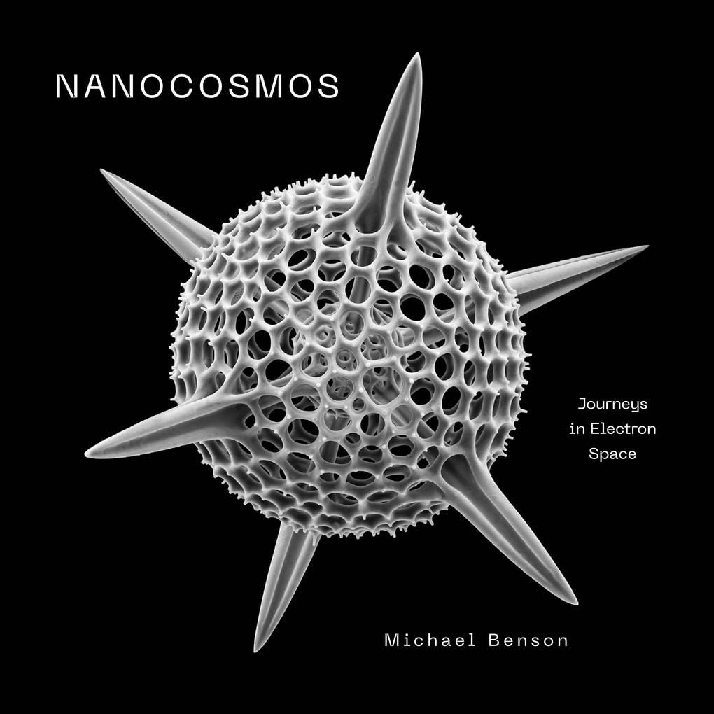Livro ‘Nanocosmos’ revela imagens inéditas de vidro lunar em escala microscópica - Imagem do artigo original