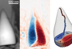 remansonoticias 1764166099