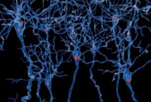 remansonoticias 1768058408