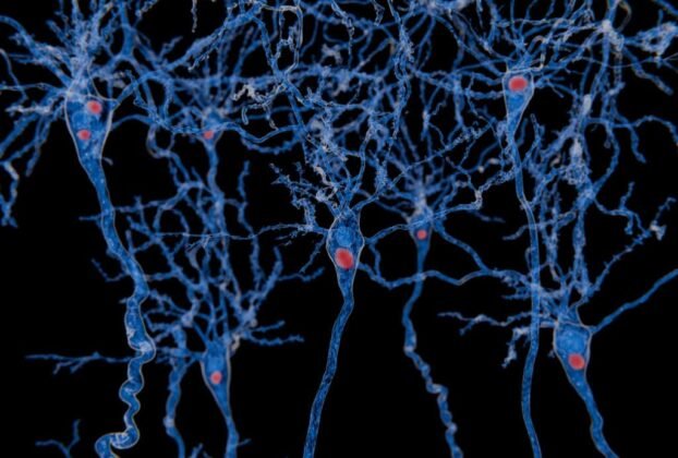 remansonoticias 1768058408