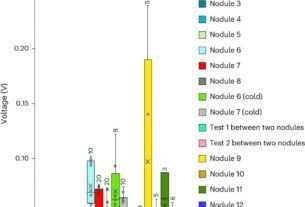 remansonoticias 1769438969