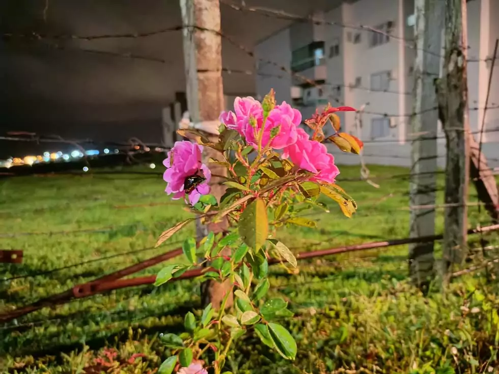 Infinix Zero 8 surpreende em tela 90 Hz e desempenho gamer: análise completa - Imagem do artigo original