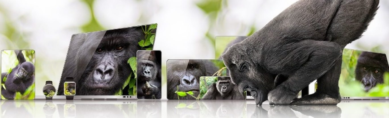 Gorilla Glass Ceramic 3 chega com resistência recorde: entenda por que ele muda o jogo - Imagem do artigo original