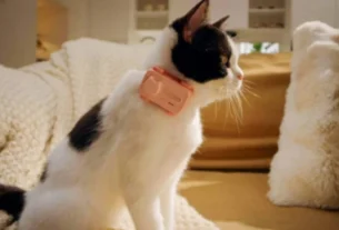 remansonoticias 1774602671