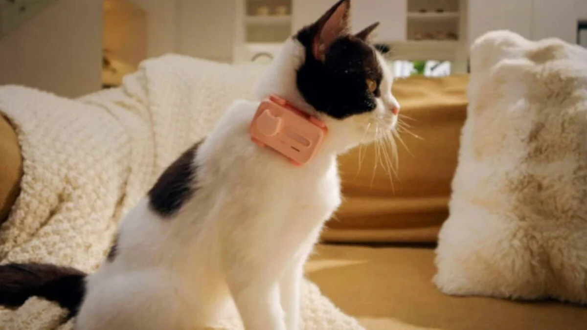 remansonoticias 1774602671